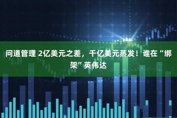 问道管理 2亿美元之差，千亿美元蒸发！谁在“绑架”英伟达